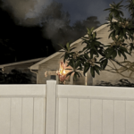 SC cross burning