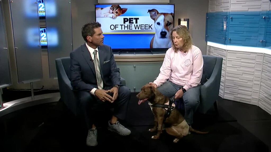 Pet Of The Week Olivia