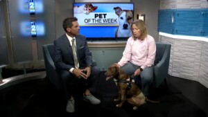 Pet Of The Week Olivia