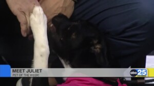 Pet Of The Week 0318