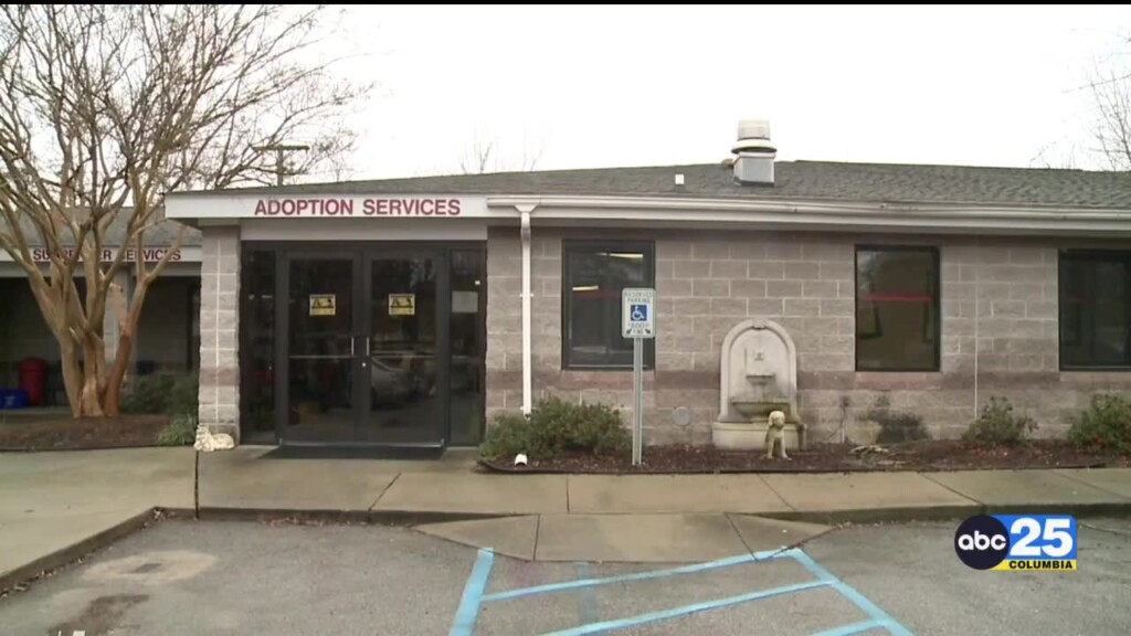 Columbia Animal Services March Adoption Special