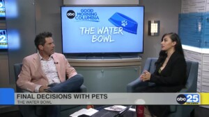 Water Bowl Pet Care Beyond You