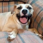 Molly