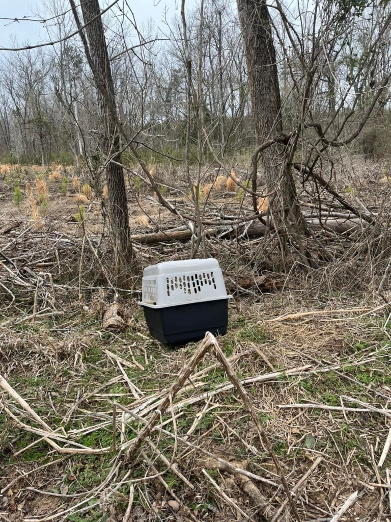 Fairfield Co