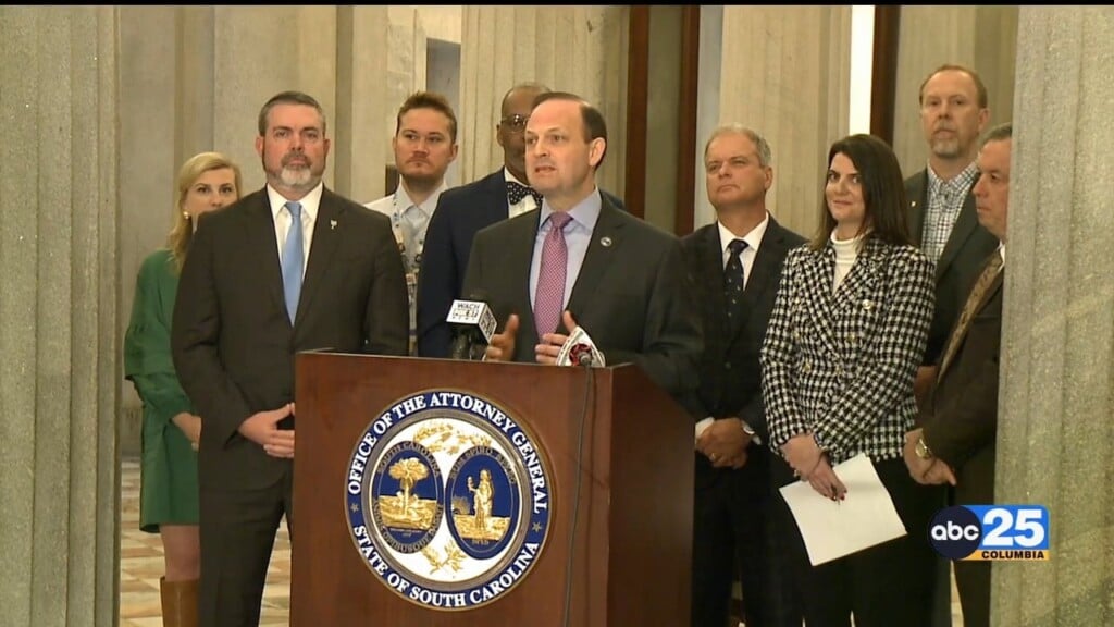 Sc's New "organized Retail Crime" Bill Raises Penalties For "grab And Go" Thieves