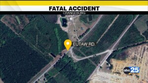 1 Dead, Other Injured After Eutaw Road Collision