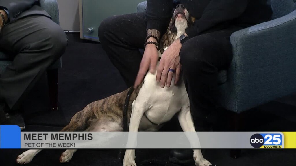 Pet Of The Week