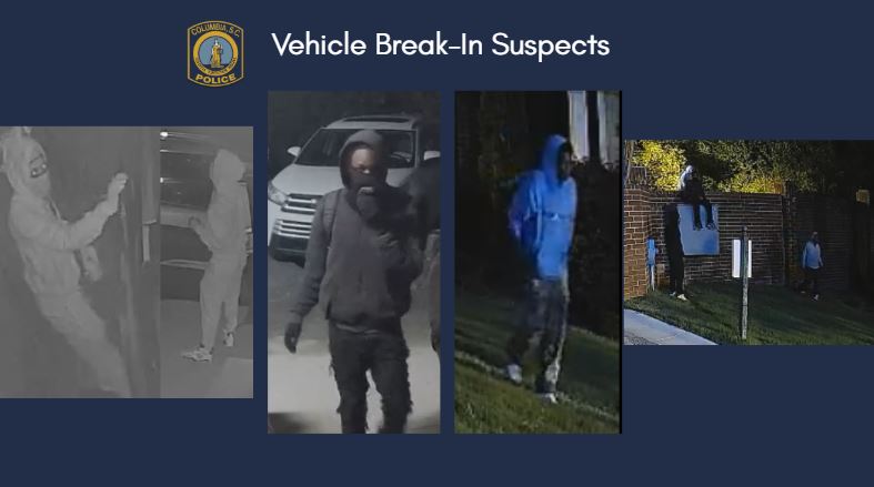 Cpd Vehicle Break In Suspects