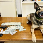 Fairfield Co Drugs