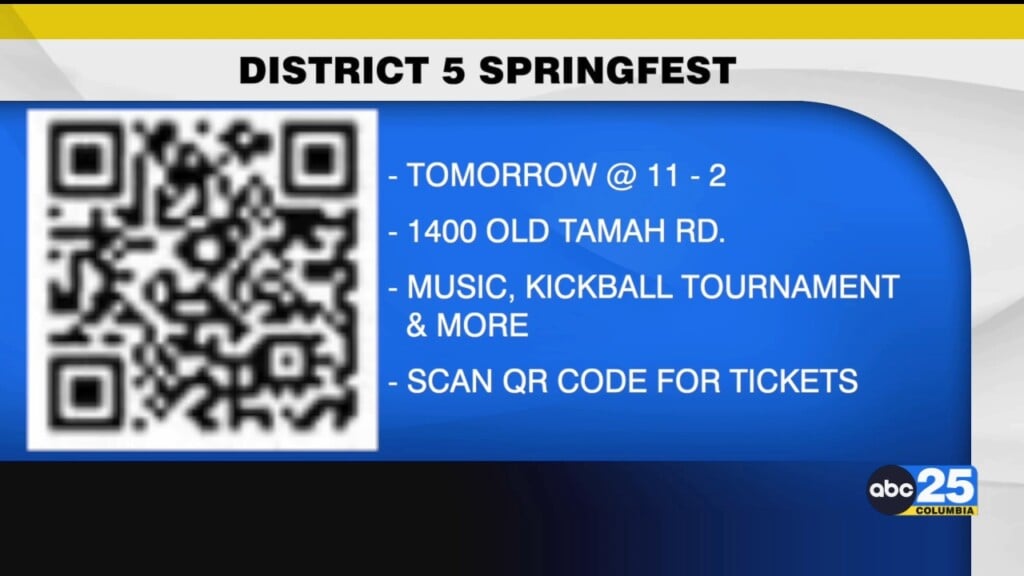 District 5 Springfest