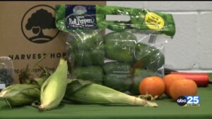 Harvest Hope, Transitions Homeless Center Announces Partnership Focused On Expanding Meal Services For The Homeless