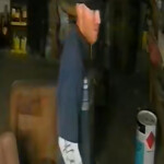 Lexington Burglar