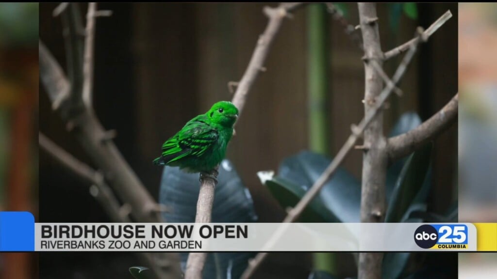 Birdhouse Now Open At Riverbanks Zoo & Garden