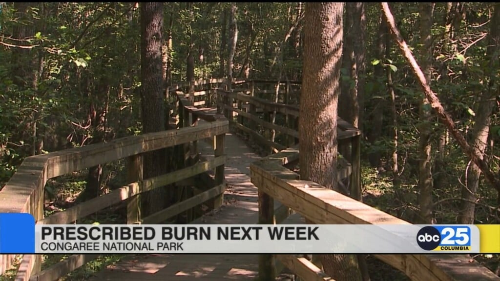 Congaree National Park Prescribed Burn Next Week
