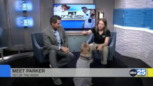 Pet Of The Week Parker