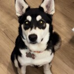 Freyja