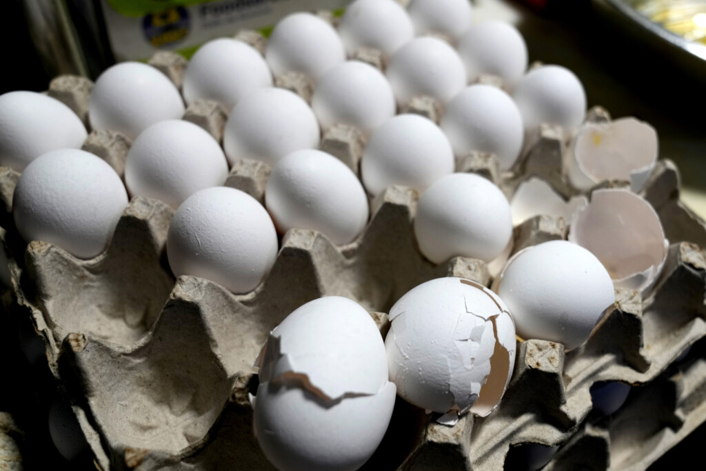 Egg Prices 2025