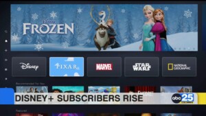 Disney+ Subscribers Rise