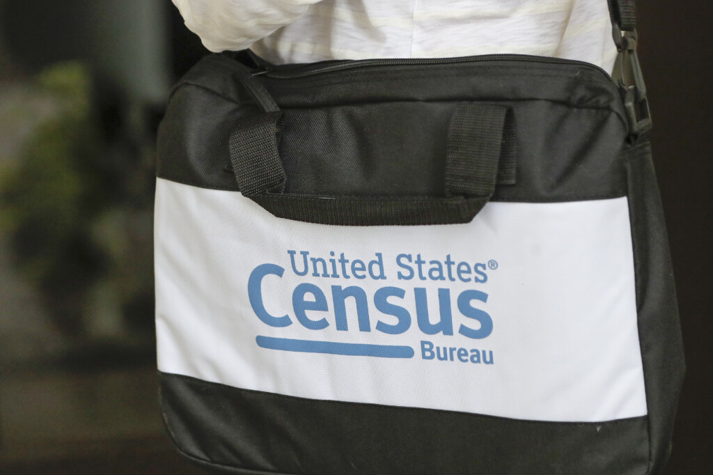 Census Bureau Doge