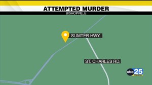 Several People Arrested After Incident In Lee County Dollar Tree Parking Lot