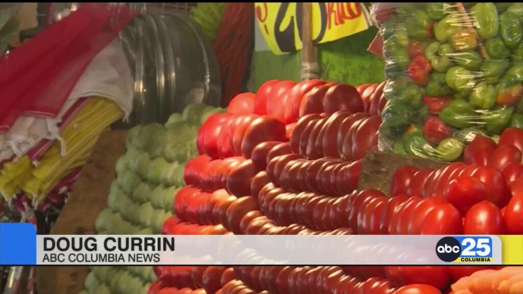 Fda Recalls Tomatoes Due To Possible Salmonella