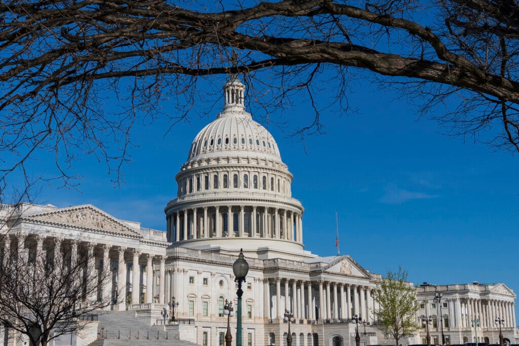 Congress Taxes