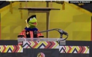 Admin Ajax 2025 05 22t235050162