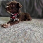 Teagan