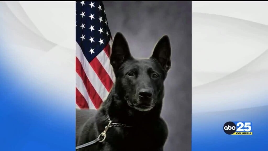 Calhoun County K9 Officer Shot While In Pursuit Of Suspect