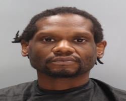 Milan Foulks