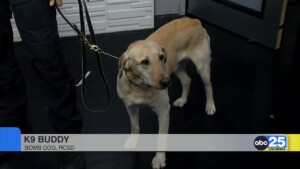 Guardians Of The Night K9 5k