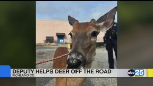 Richland County Deputy Helps Deer Off The Road