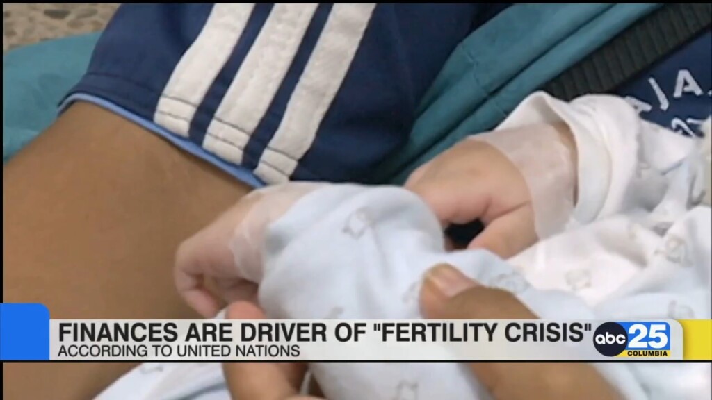 United Nations: Finances Driving Factor Of "fertility Crisis"