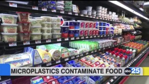Microplastics Contaminate Food