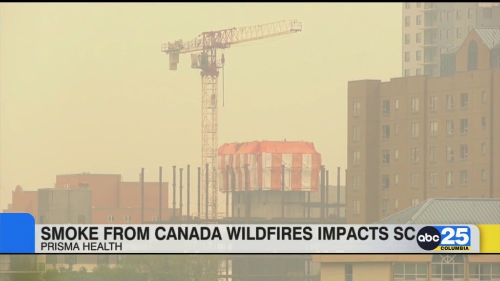 Wildfires