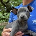 Carson