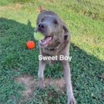 Sweet Boy Greyson