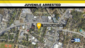 Deputies Arrest Juvenile On Several Charges