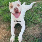 Liberty