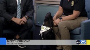 Pet Of The Week: Hermione