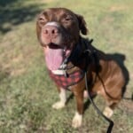Murphy