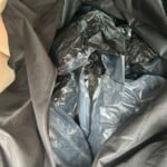 SCDOJ drug bust case