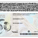 New ID designs