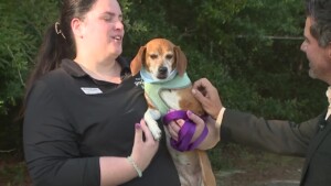 Pet Of The Week: Lucky