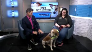 Pet Of The Week: Nigel