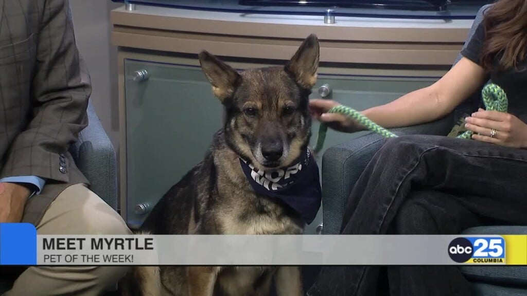 Pet Of The Week: Myrtle