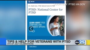 4th Of July Celebrations Help And Tips Available For Veterans With Ptsd