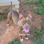 Sonny Girl