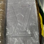 SCDOJ drug bust case