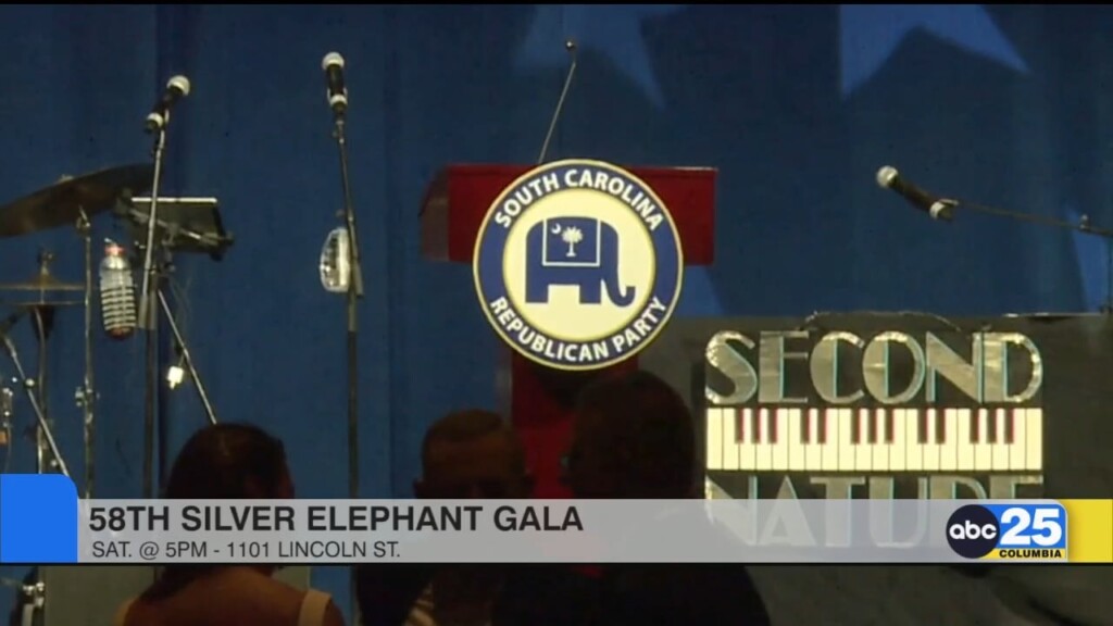 Silver Elephant
